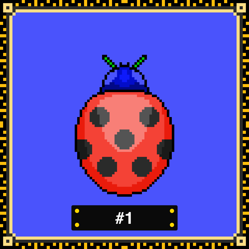 A beautiful ladybug